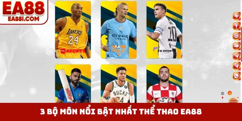 3 bộ môn nổi bật nhất thể thao EA88