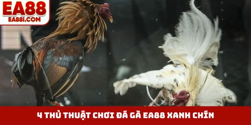 4 thủ thuật chơi đá gà EA88 xanh chín